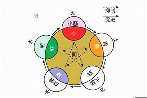 张字五行|张字的五行属性